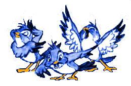 Song Birds Picture
