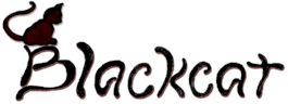 Blackcat Large Logo