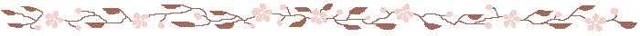 Bottom Boarder