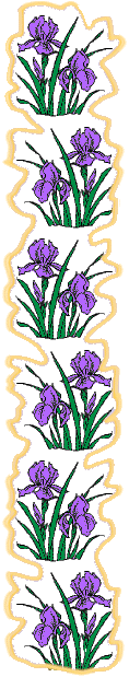 Left Side Bar Irises