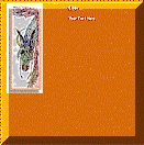 This is a Thumbnail Link to "Dragon Scroll Up.htm".