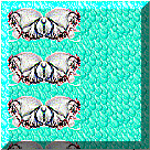 This is a Thumbnail Link to "turkbutt.htm".